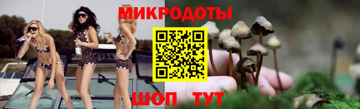 Галлюциногенные грибы ЛСД  Галлюциногенные грибы MAGIC MUSHROOMS  купить наркоту  Вход с VPN  Гусиноозёрск 